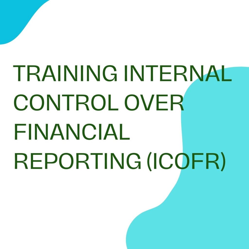 pelatihan INTERNAL CONTROL OVER FINANCIAL REPORTING (ICOFR) online