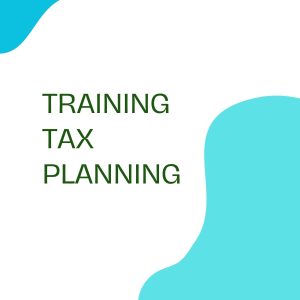 pelatihan TAX PLANNING online
