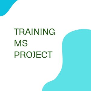 TRAINING MS PROJECT pelatihan MS PROJECT online